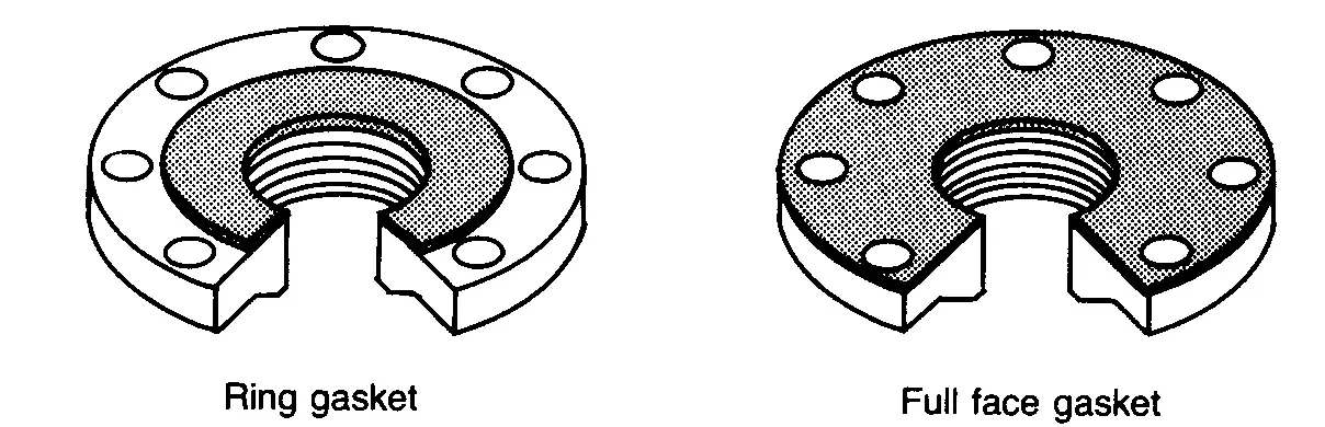 Full face and ring gasket