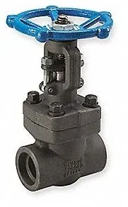 socket weld valve