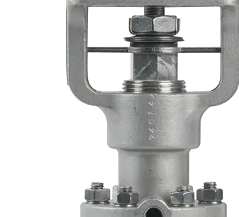 Valve assembly: bonnet